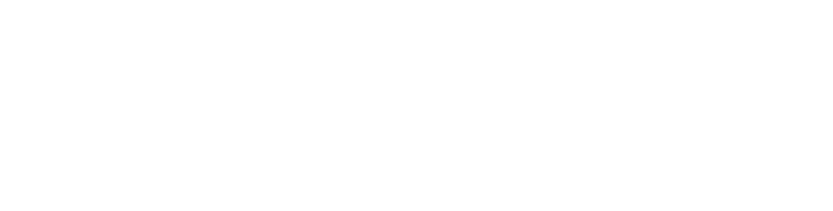 HoundDog.ai