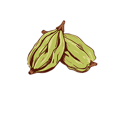 Elaichi.co
